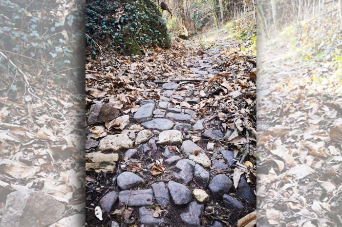 sentiero nel bosco a Savenone